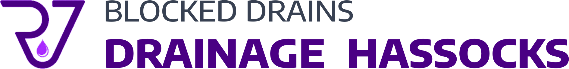 website logo